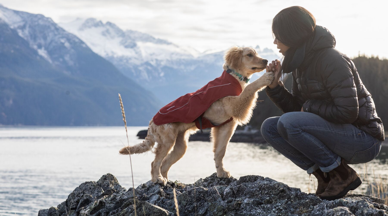 Golden retriever giving a high five to its owner on a rocky lakeside, wearing a Ruffwear Overcoat in Red Clay with snow-capped mountains in the background.