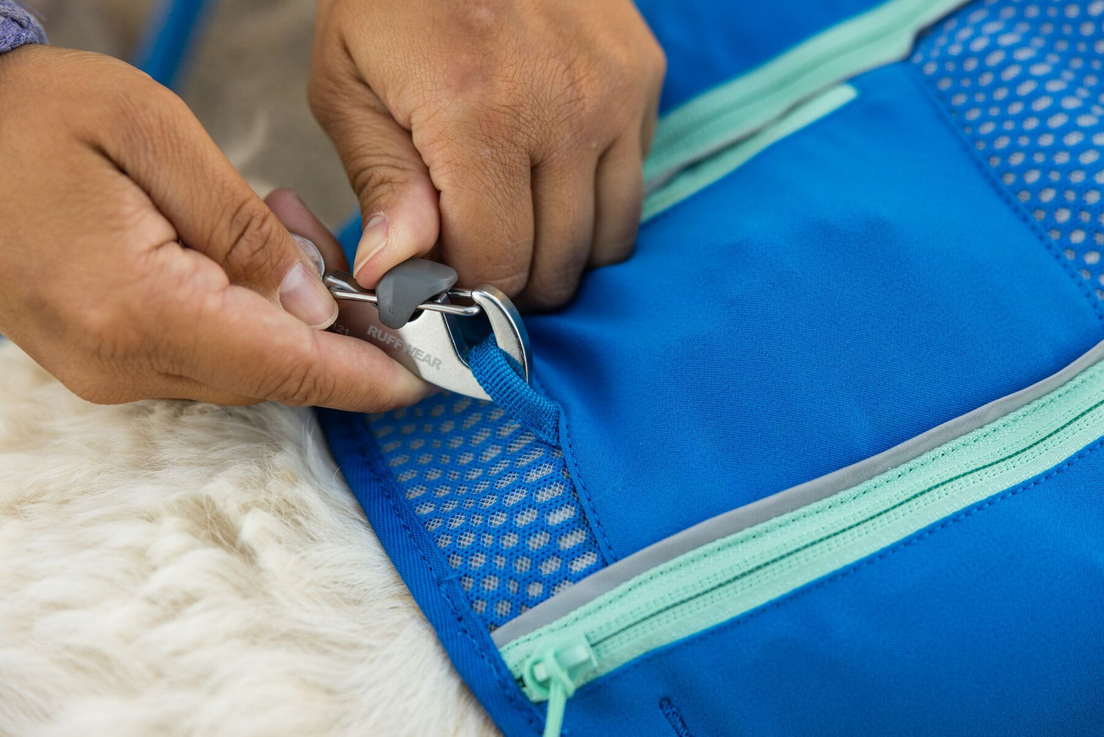 Close-up of Ruffwear Trail Runner Lead Crux Clip being attached to the leash point on a Ruffwear Trail Runner Running Vest in Blue Pool