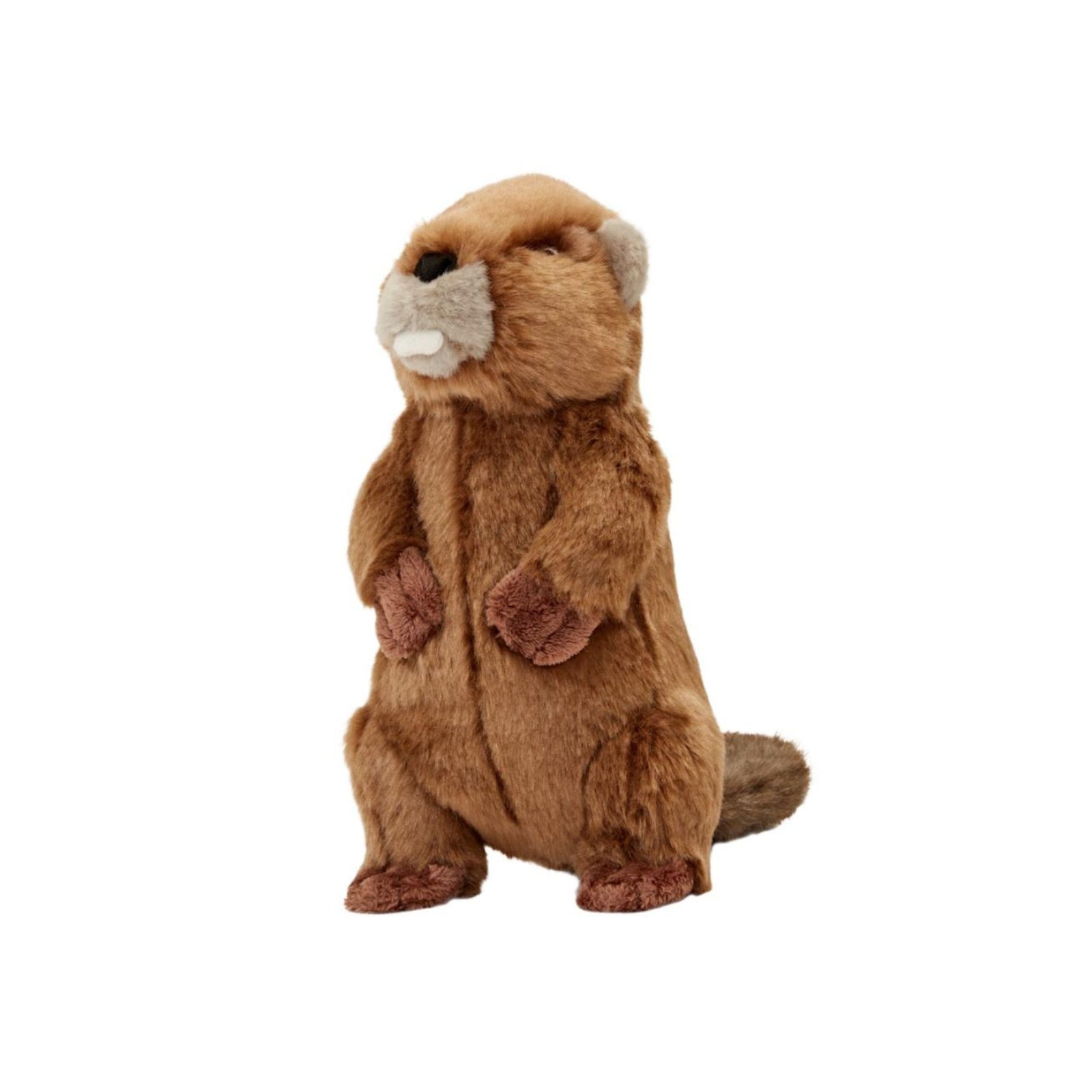 Fluff & Tuff Troy Beaver medium plush dog toy standing upright on white background