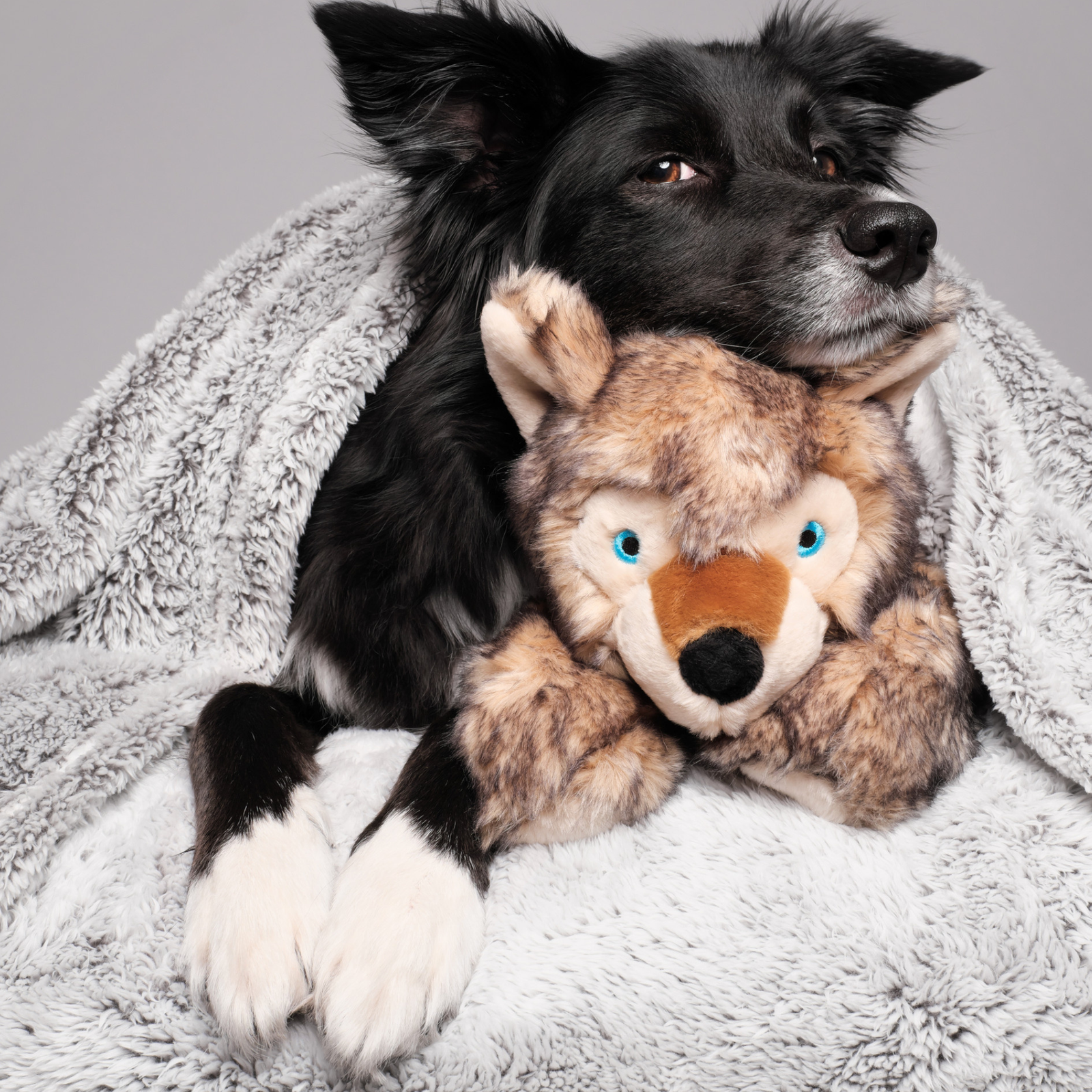 Fluff and Tuff Lobo Wolf Pup extra large plush dog toy in grey and brown with blue eyes on white background
