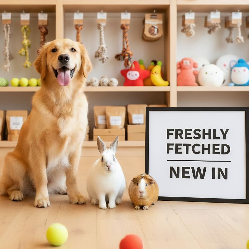 Freshly Fetched New In — golden retriever, rabbit and guinea pig in a boutique pet shop with toys and treats on shelving behind them