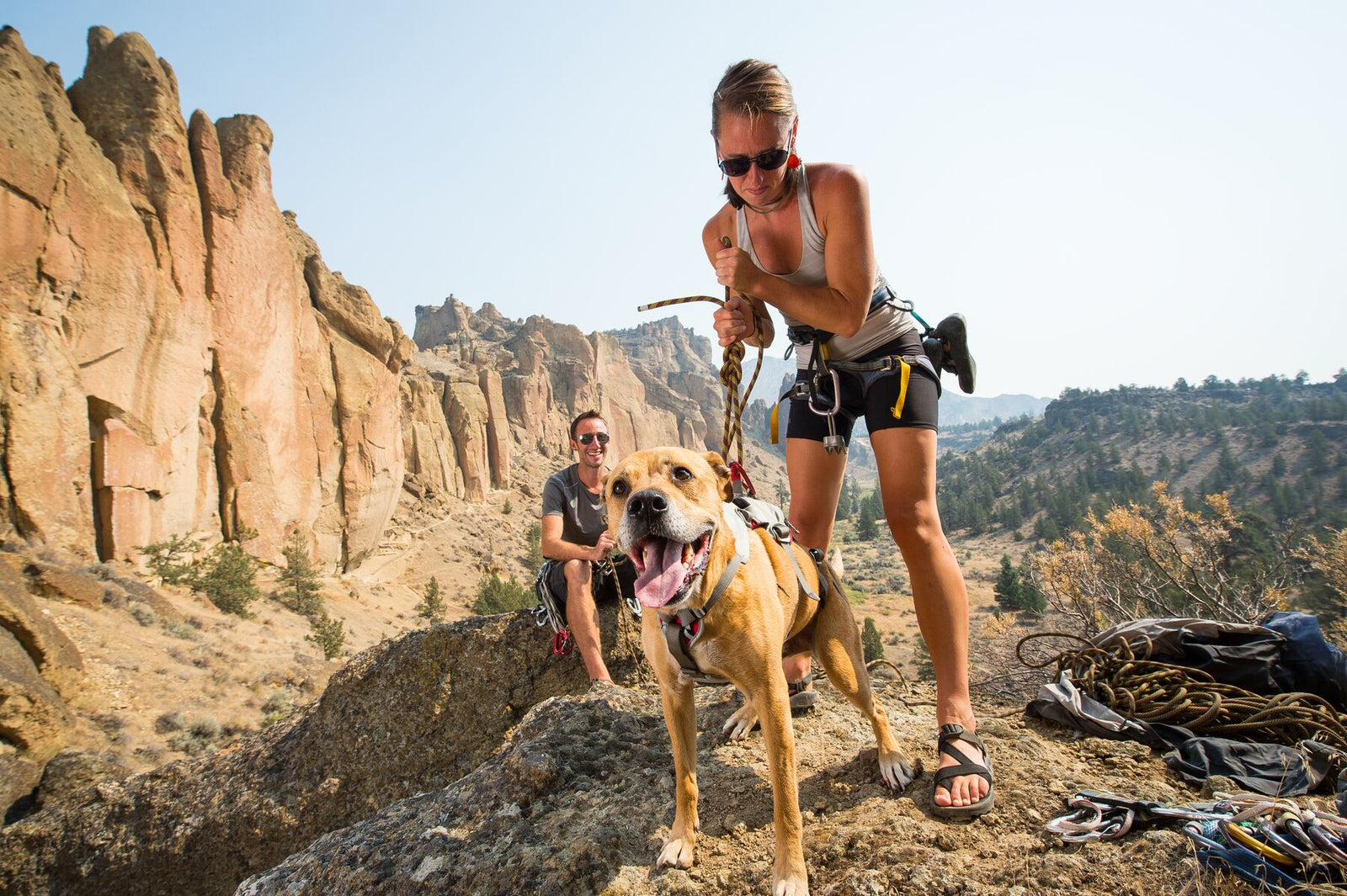 Handler managing rope at the top of a rock climb at Smith Rock, Oregon, with a happy dog wearing the Ruffwear Doubleback harness