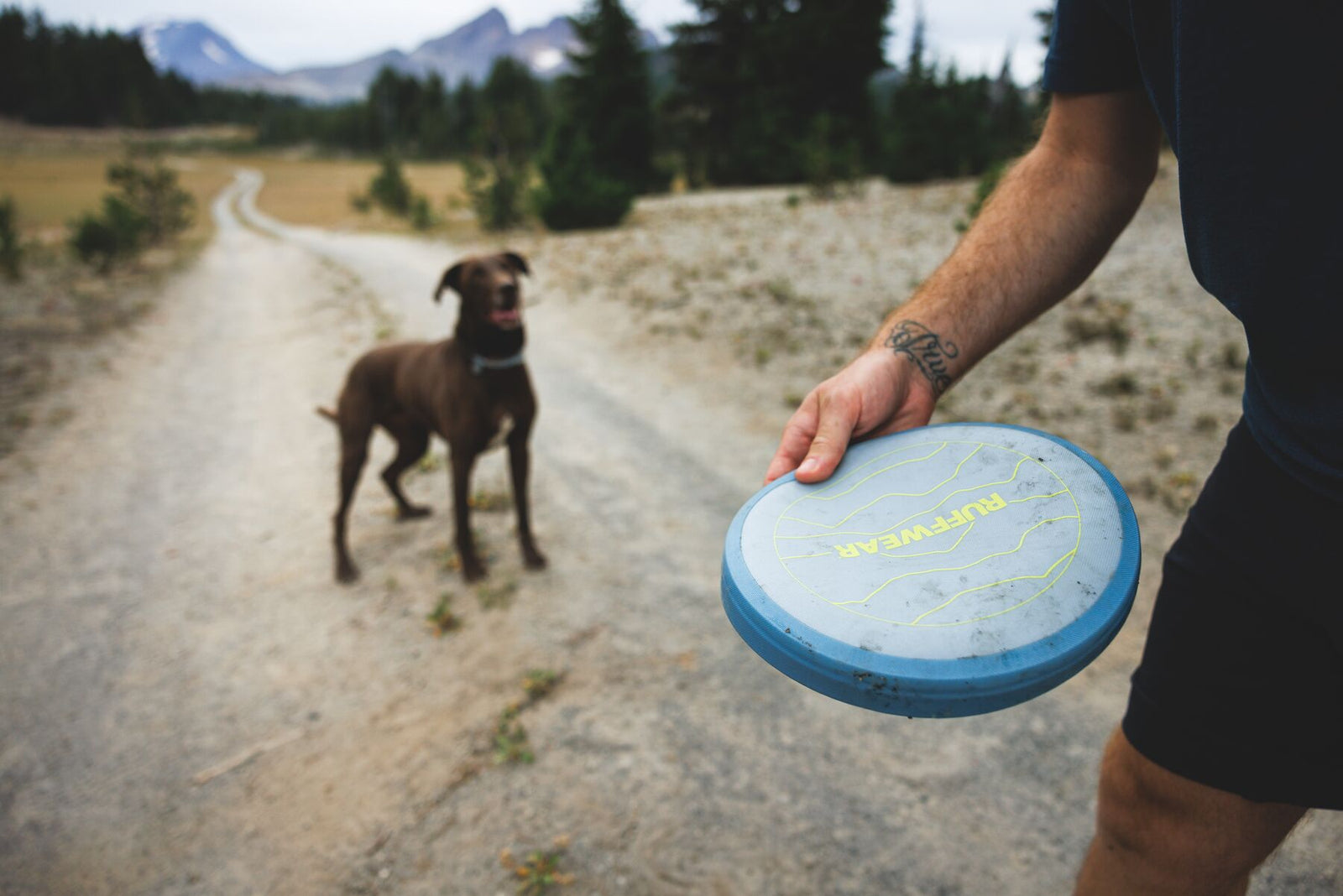 Person holding the Ruffwear Camp Flyer dog toy in Polar Blue on a mountain trail, chocolate Labrador standing ready in the background, pine trees and mountain peaks visible, outdoor dog toy for hiking and adventure