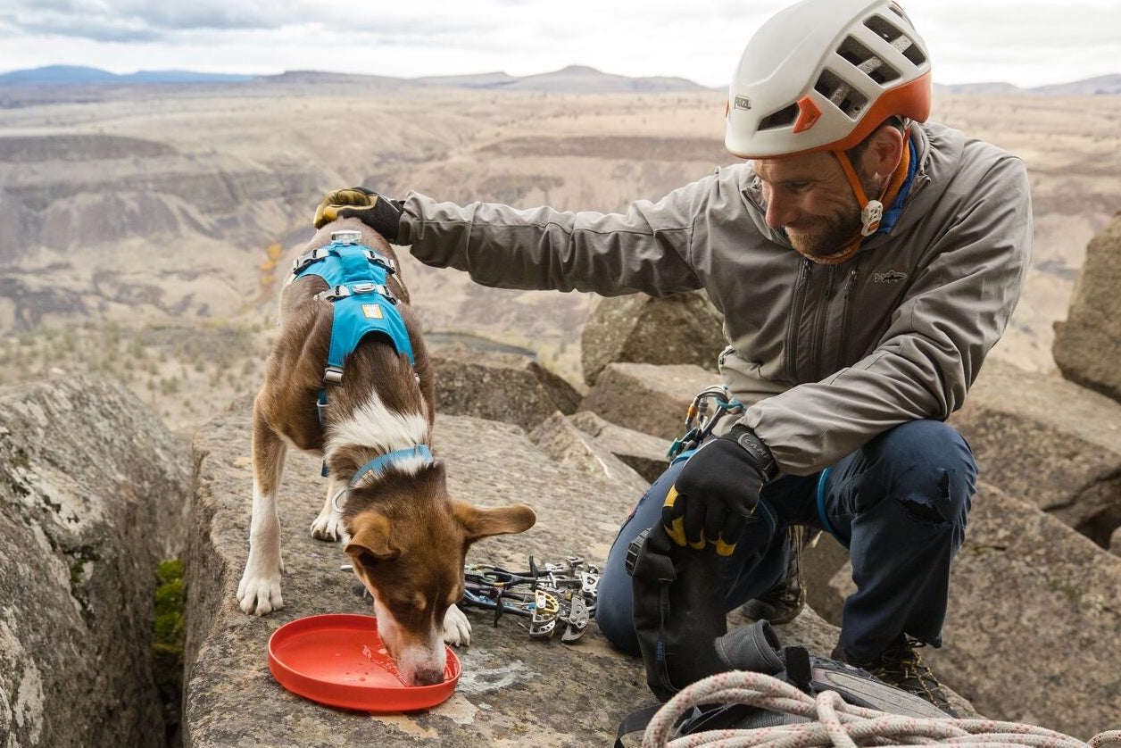 Dog drinking water from the Ruffwear Camp Flyer flying disc used as a bowl on a rocky cliff edge, climber kneeling beside dog in full climbing gear with rope and harness visible, showing the Camp Flyer's dual use as a lightweight packable dog water bowl on adventure days