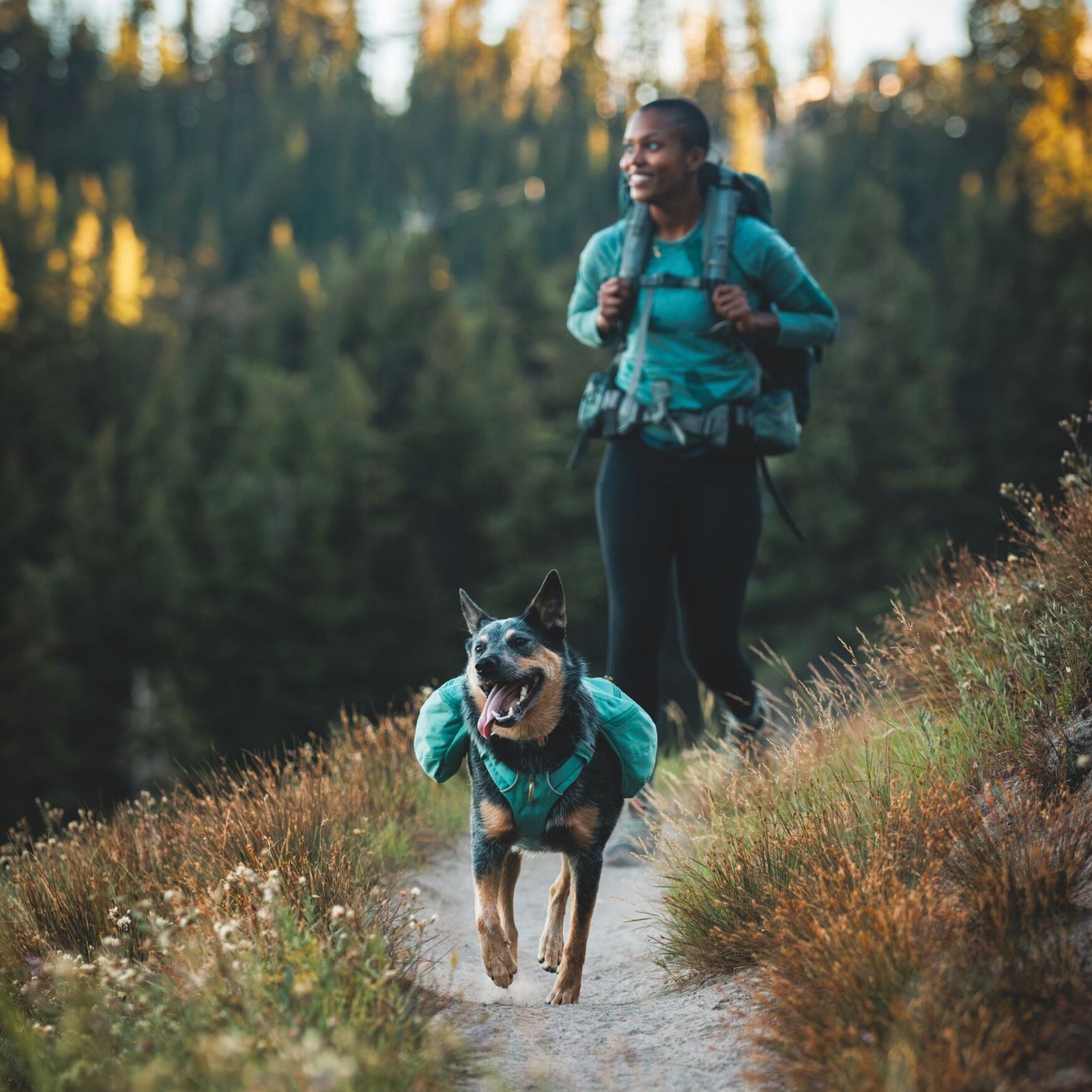 Handler and blue heeler walking a forest trail together, the dog wearing the Ruffwear Front Range Day Pack in River Rock Green, trees and a waterfall visible in the background.