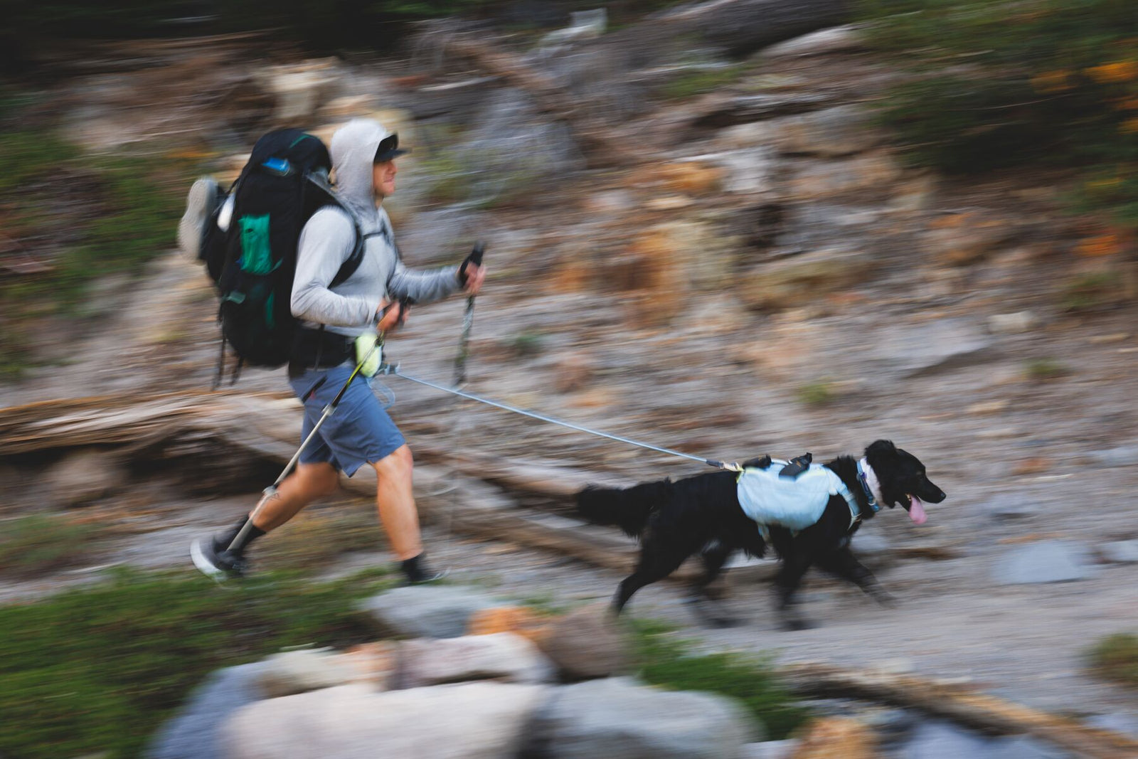 Hiker running on a rocky trail at Mount Hood with a black dog on the Ruffwear Hitch Hiker Dog Lead in Sunny Lime, both at full stride