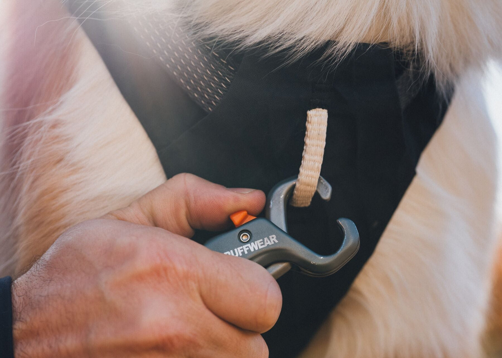 Ruffwear Ridgeline Lead Auto-Locking Talon Clip being released from a dog harness on a light-coloured dog