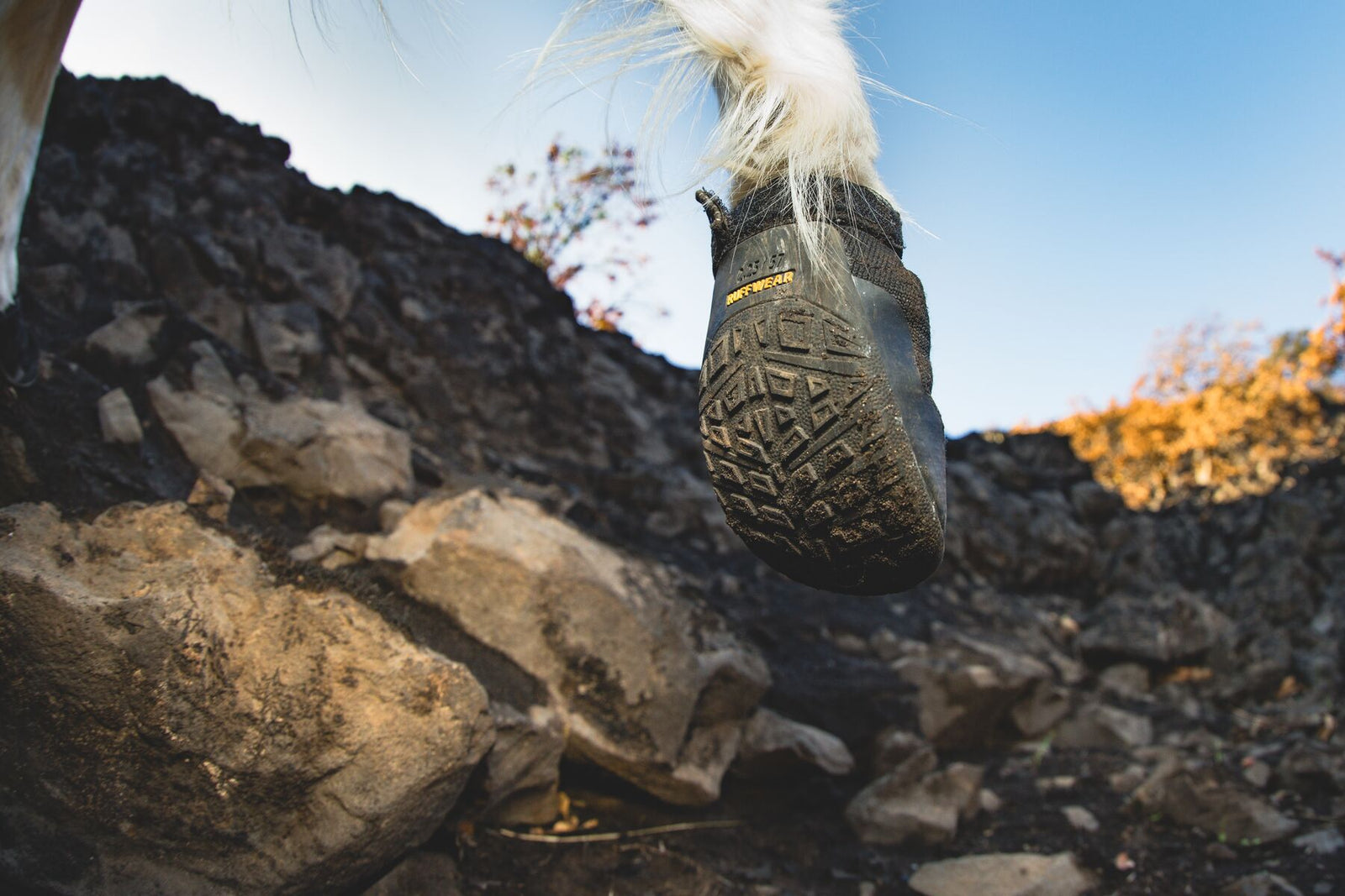 Low angle shot of the sole with dog on rocky terrain wearing Ruffwear Ridgeline Shoes