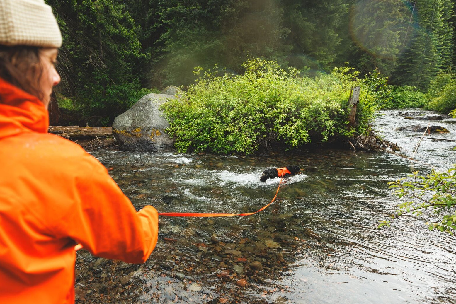 Person in an orange jacket holding the Ruffwear Rogue Long Line in Blaze Orange as a black dog wearing a Ruffwear harness wades through a rocky mountain river surrounded by forest
