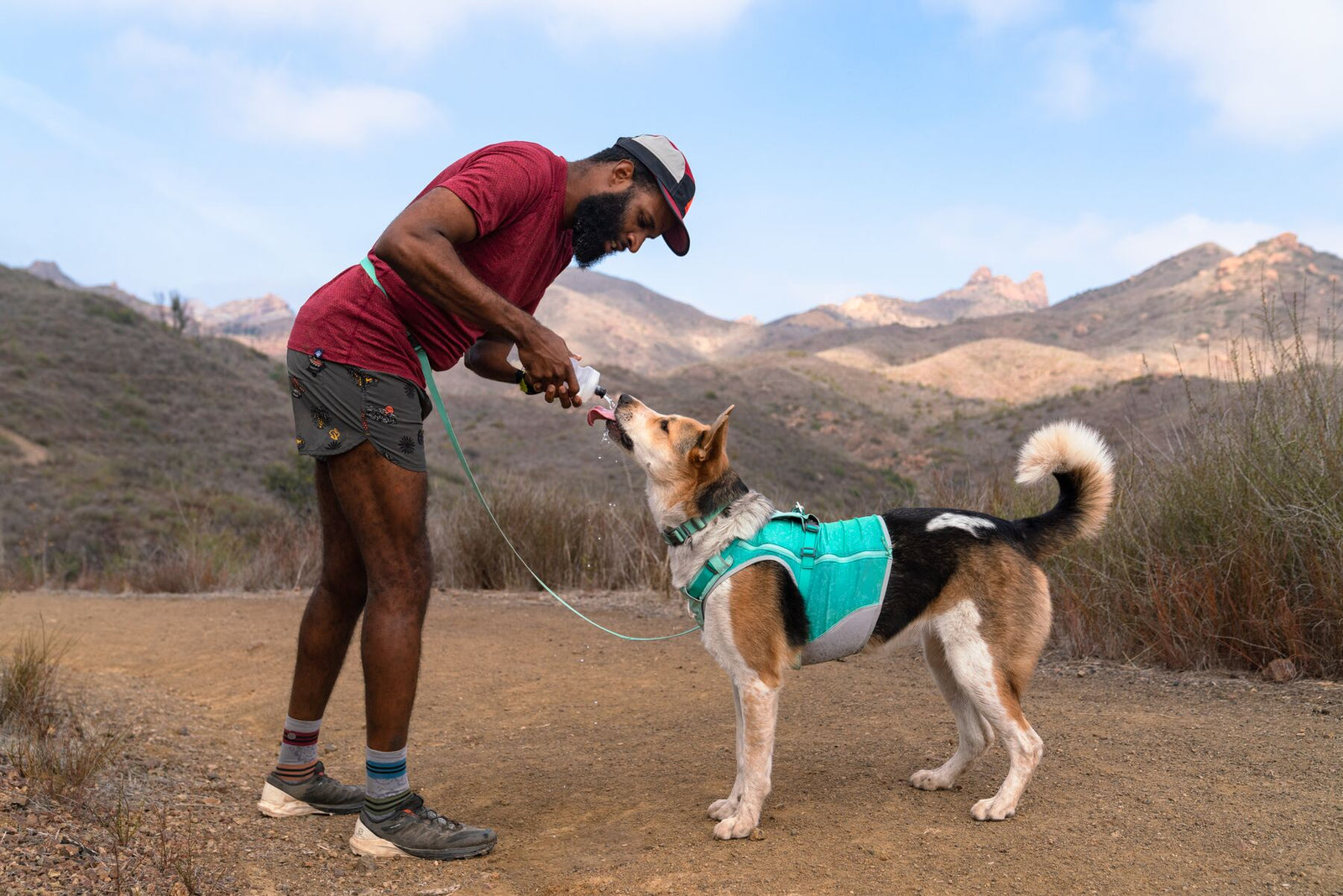 Person and dog outdoors wearing Ruffwear Hi & Light collar