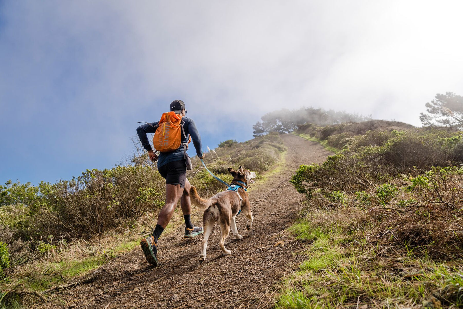 A runner and their dog trail running uphill together, the dog wearing the Ruffwear Hi & Light harness on a coastal hillside trail