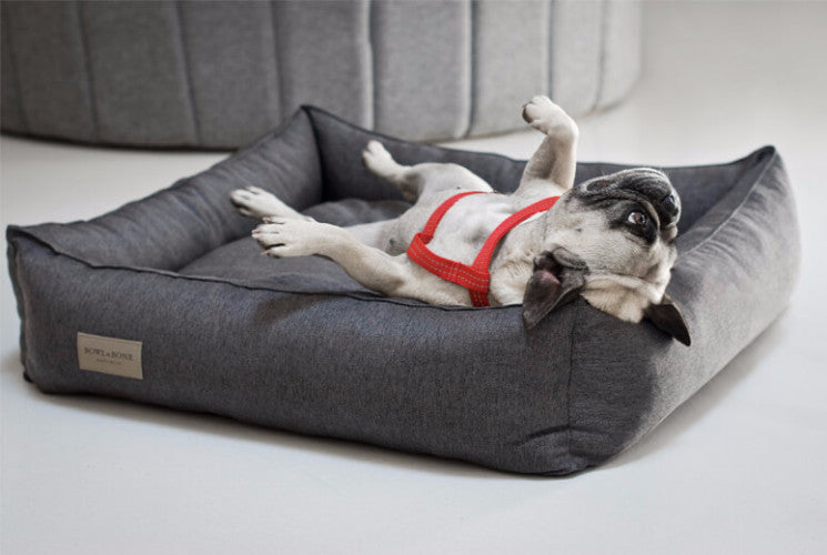 Bowl & Bone Republic Urban Bed Graphite, Dog Bed | Barks & Bunnies