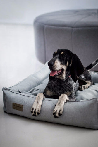 Bowl & Bone Republic Urban Bed Grey, Dog Bed | Barks & Bunnies