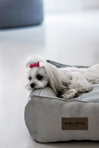 Bowl & Bone Republic Urban Bed Brown, Dog Bed | Barks & Bunnies