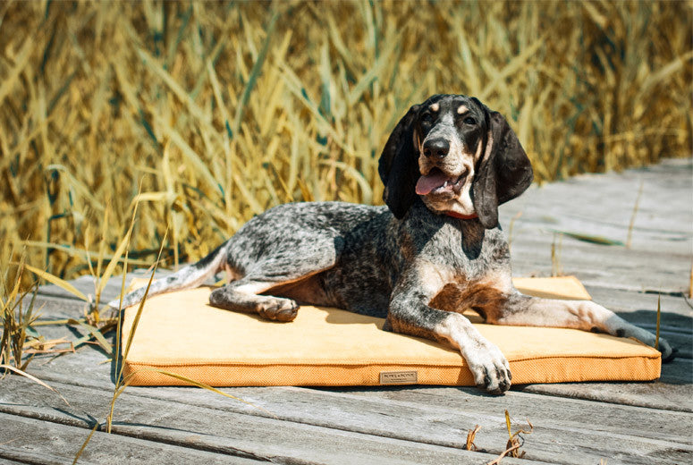 Bowl & Bone Republic Chill Mat Olive, Dog Bed | Barks & Bunnies