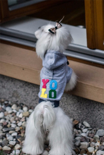 Bowl & Bone Republic YOLO Hoodie Dog Coat | Barks & Bunnies