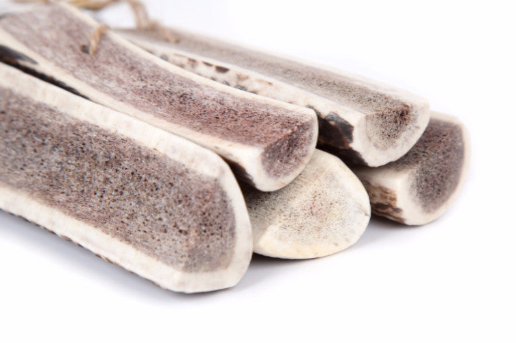 Green & Wilds Easy Antler Dog Chews, Naturally Shed | Barks & Bunnies