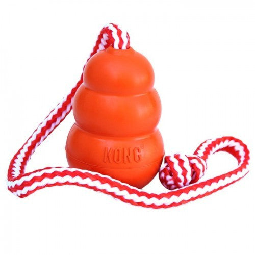 Kong Aqua, Floating Dog Toys UK | Barks & Bunnies