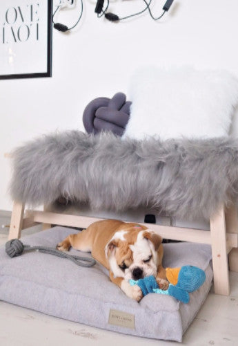 Bowl & Bone Republic Loft Cushion Grey, Dog Bed | Barks & Bunnies