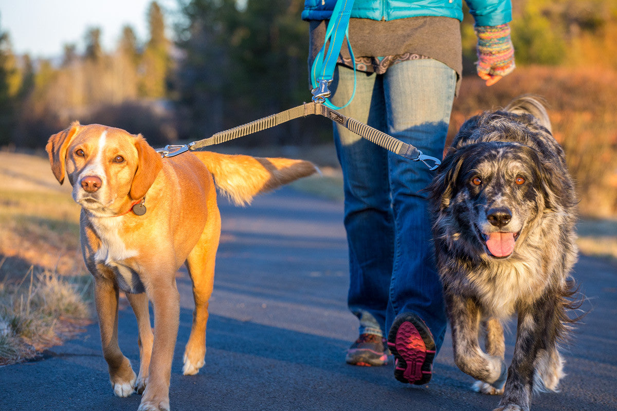 Ruffwear Double Track Couple, lead attachment to walk two dogs | Barks & Bunnies