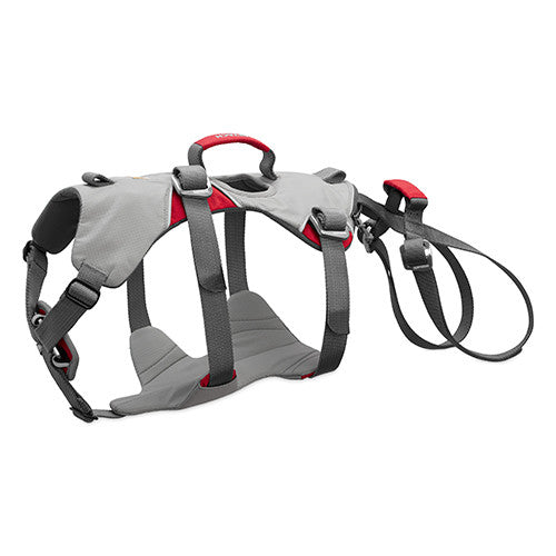 Ruffwear Doubleback full body dog harness in Cloudburst Gray, front view showing chest panel and adjustment straps