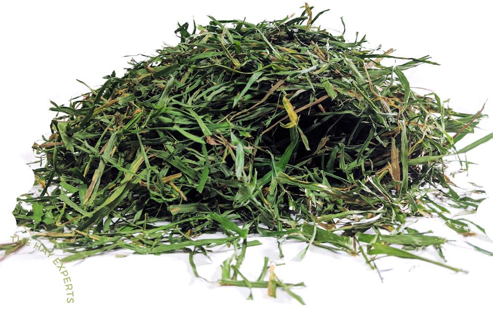 The Hay Experts Soft Cut Timothy Hay | Barks & Bunnies