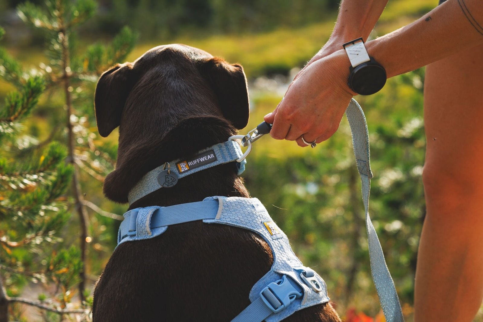 Ruffwear Front Range Flex Collection