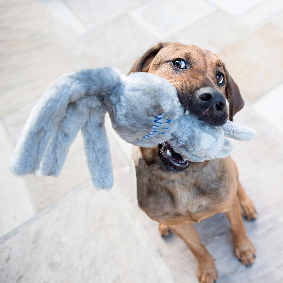 Kong Wubba Friends Dog Toy | Barks &amp; Bunnies