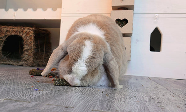 Rosewood Naturals Hemp Health Digestion | Barks &amp; Bunnies