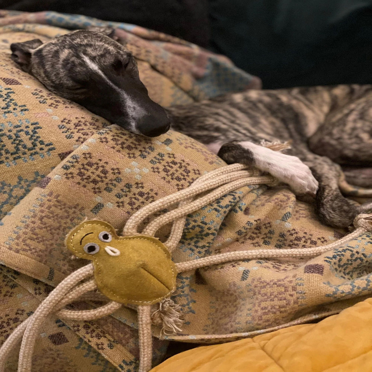 Green &amp; Wilds Lily Longlegs Eco Dog Toy | Barks &amp; Bunnies