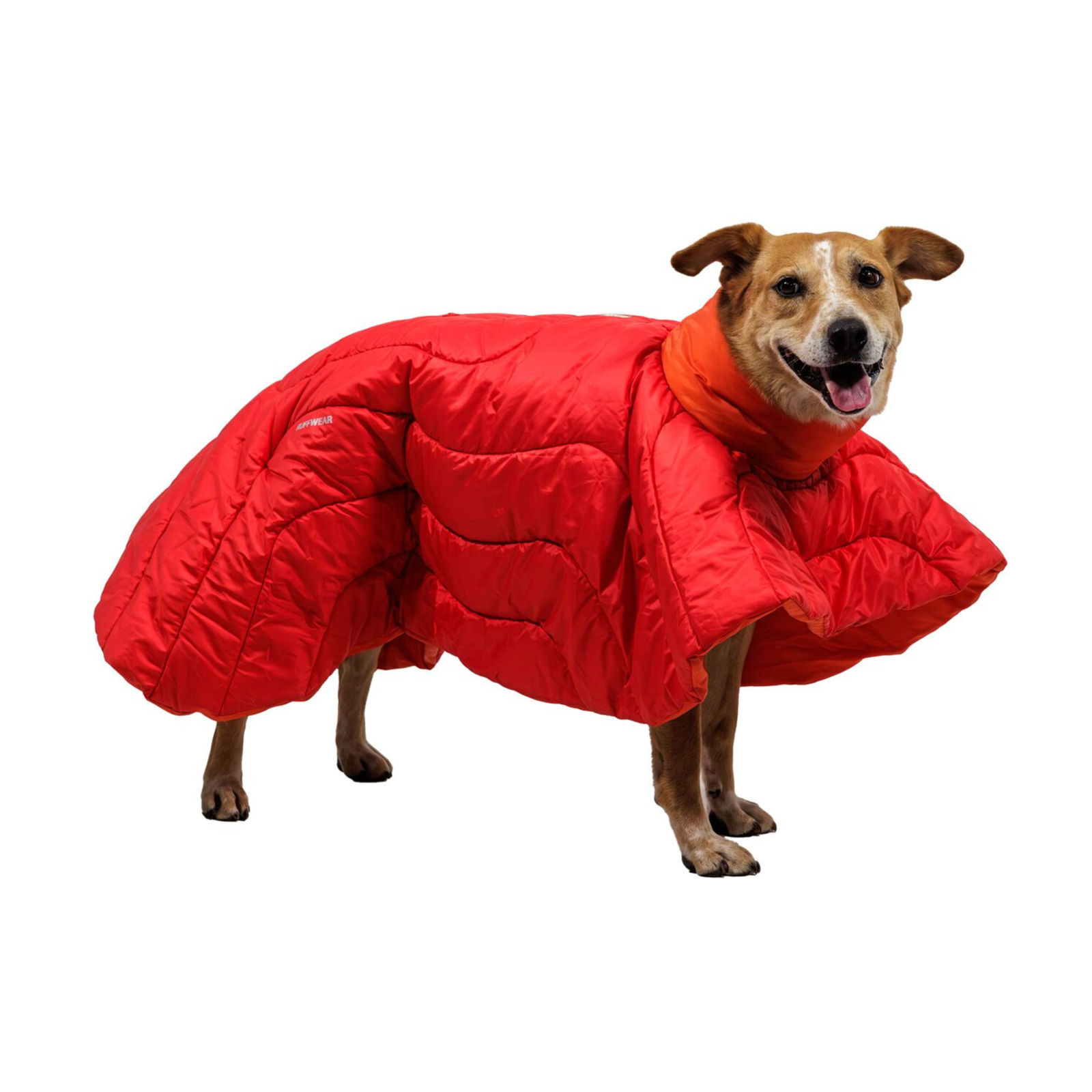 Dog wearing Ruffwear Palisades Sleep Poncho in Red Currant, standing full body shot