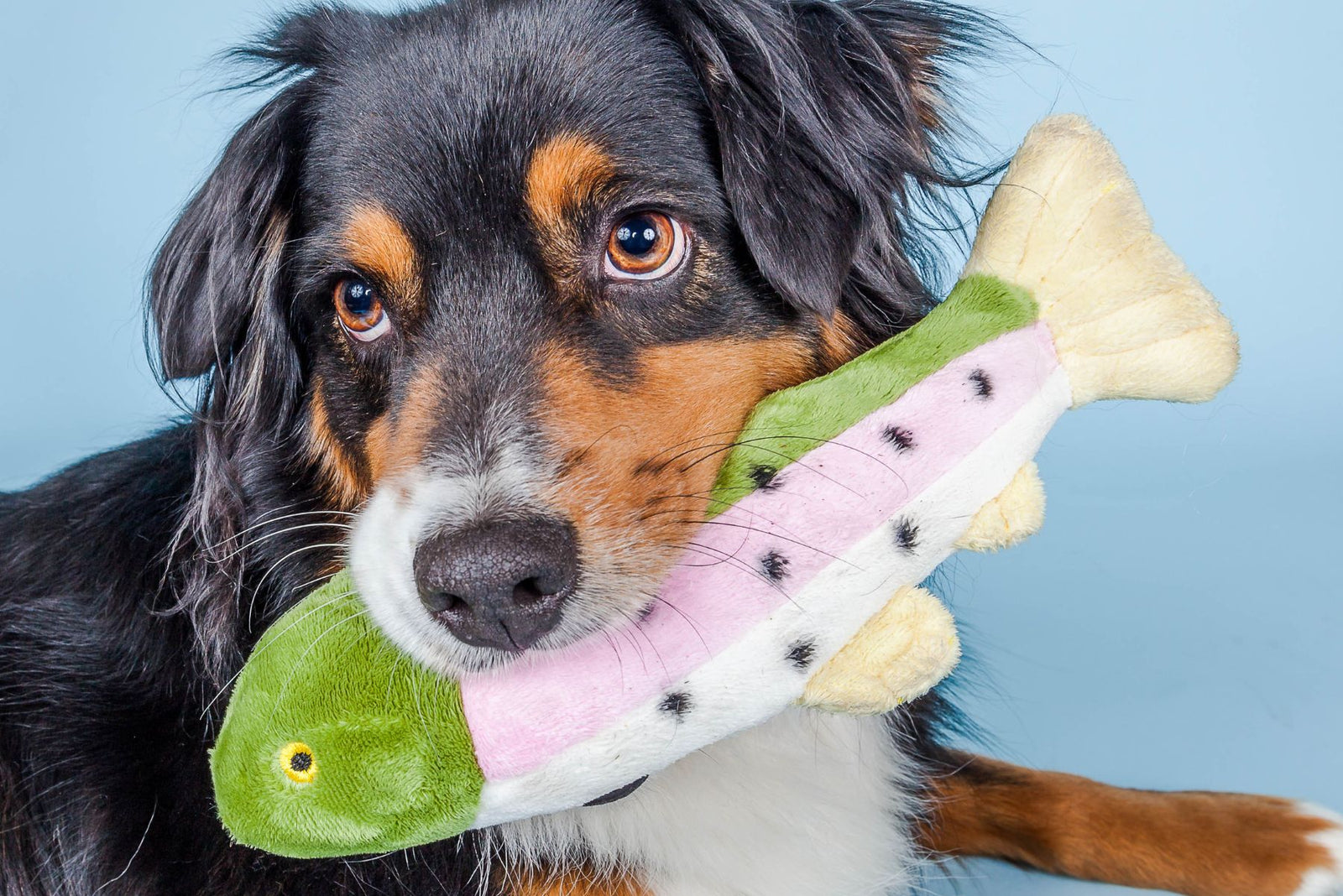 Fluff & Tuff Burt The Lake Trout plush dog toy - green and pink spotted trout with cream belly and yellow fins
