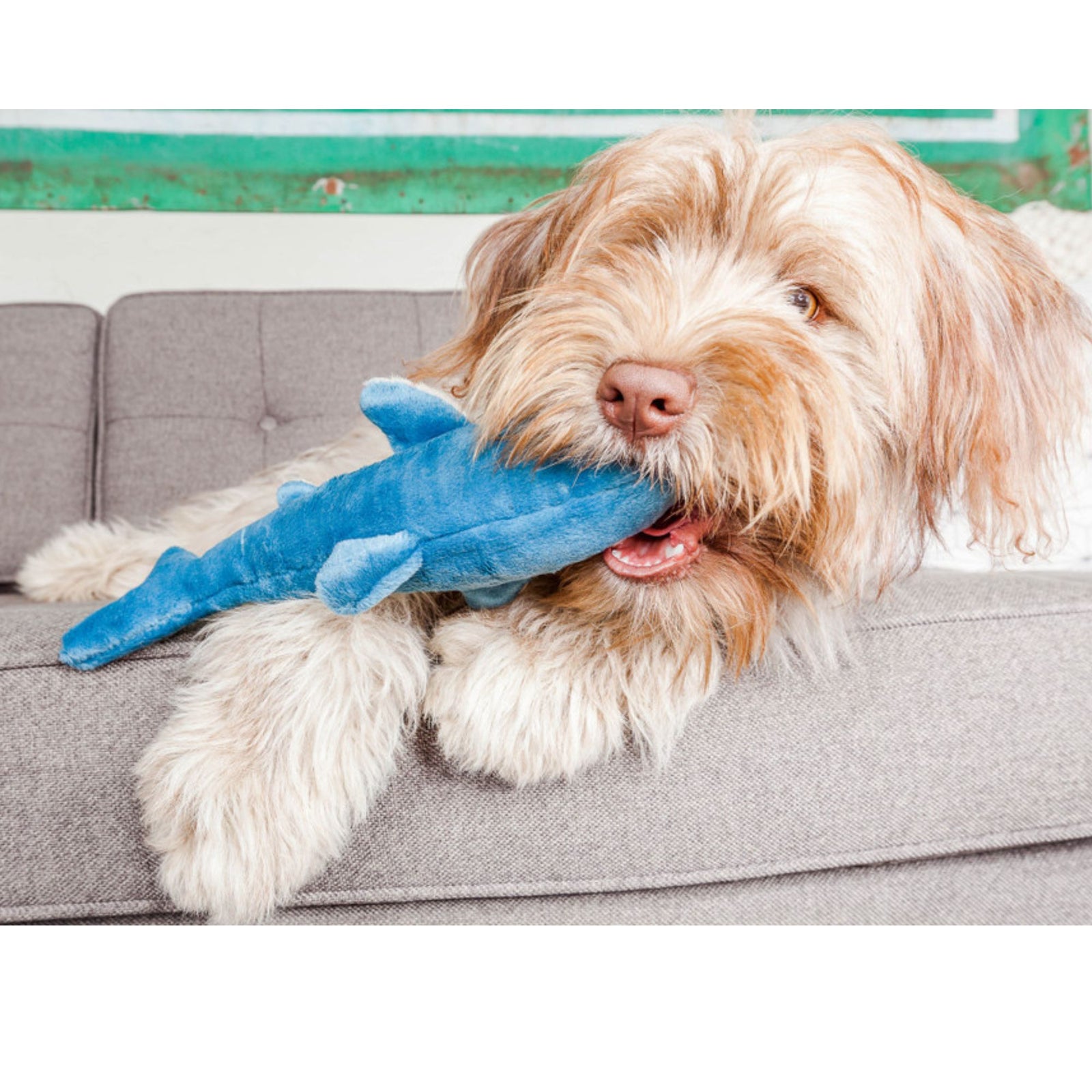 Fluff & Tuff Tank Shark blue plush dog toy on white background