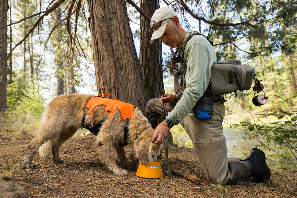 Person pouring water into a Ruffwear Bivy Bowl for a dog in a forest