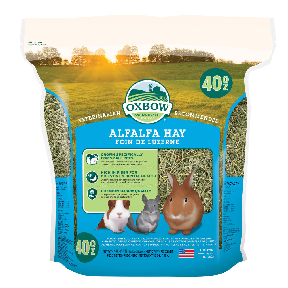 Alfalfa Hay