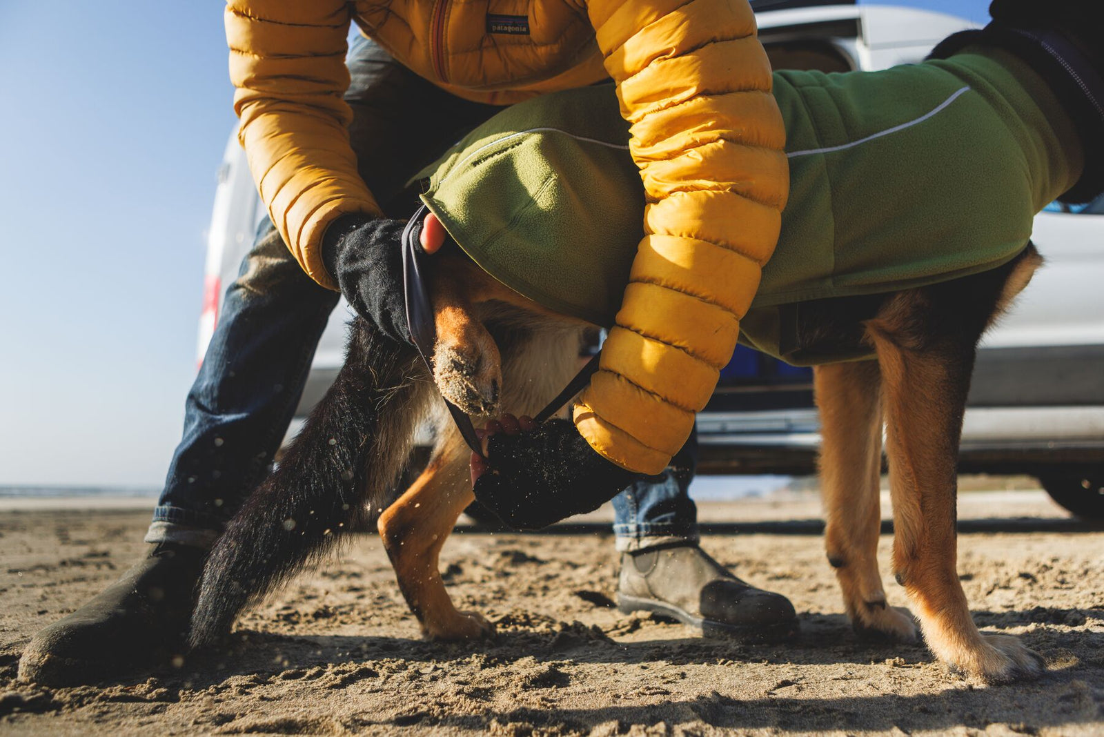 Dog wearing the Ruffwear Climate Changer Fleece Vest on a beach, showing fit and coverage