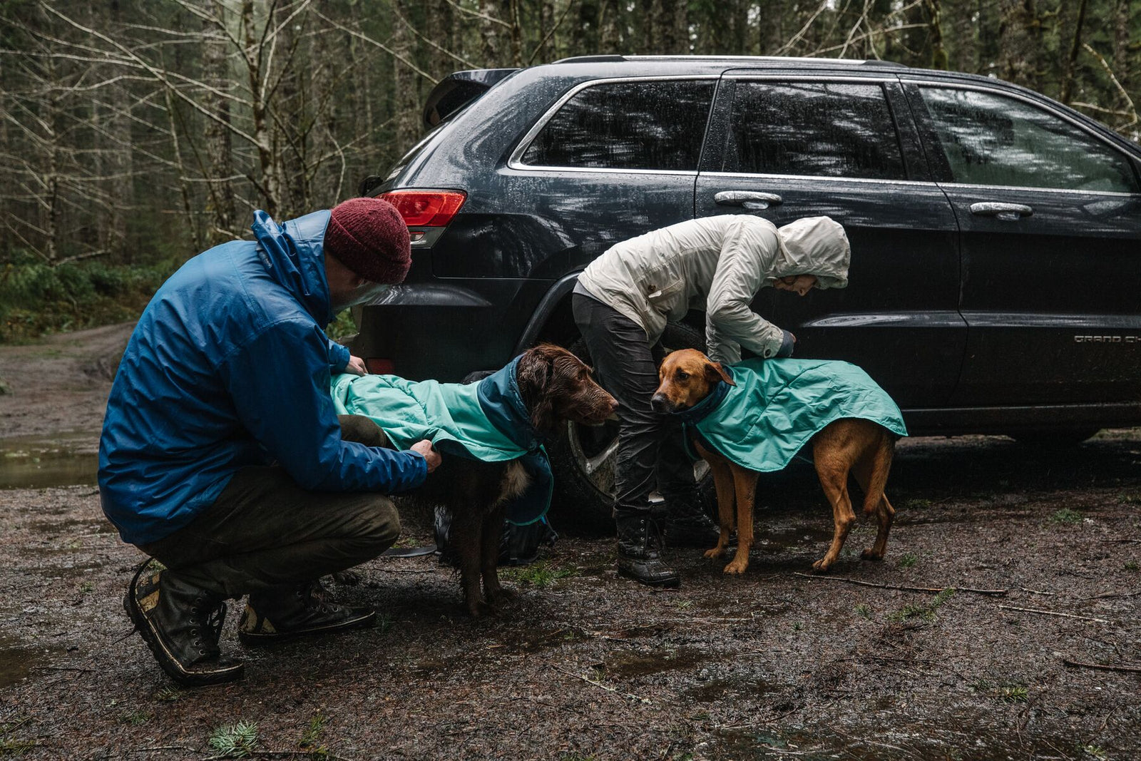 Two handlers crouching in a muddy woodland car park in the rain, fitting Ruffwear Dirtbag™ Dog Towels in Aurora Teal onto a brown spaniel and a golden Vizsla beside a rain-soaked black SUV — exactly the scene this towel was designed for