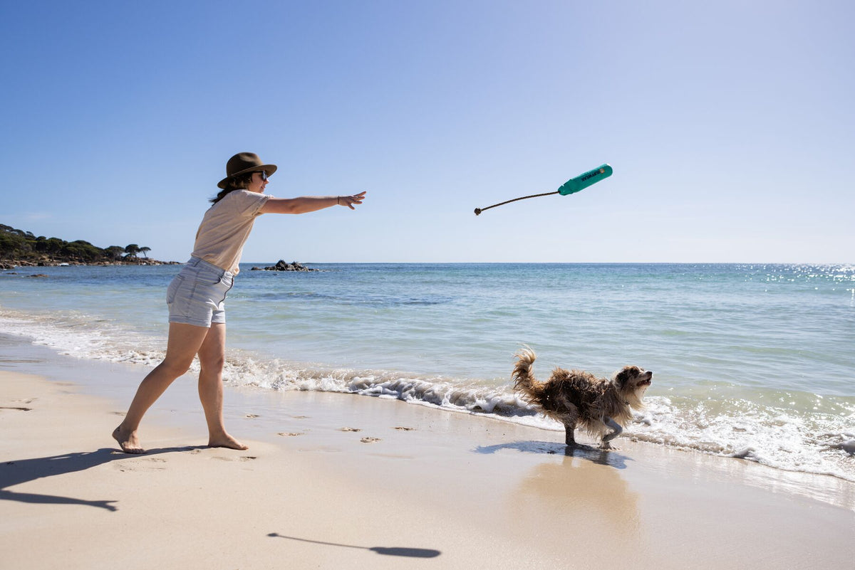 Woman throwing the Ruffwear Lunker fetch toy along a sunny beach shoreline, small dog watching it arc through the air, clear blue sea in the background