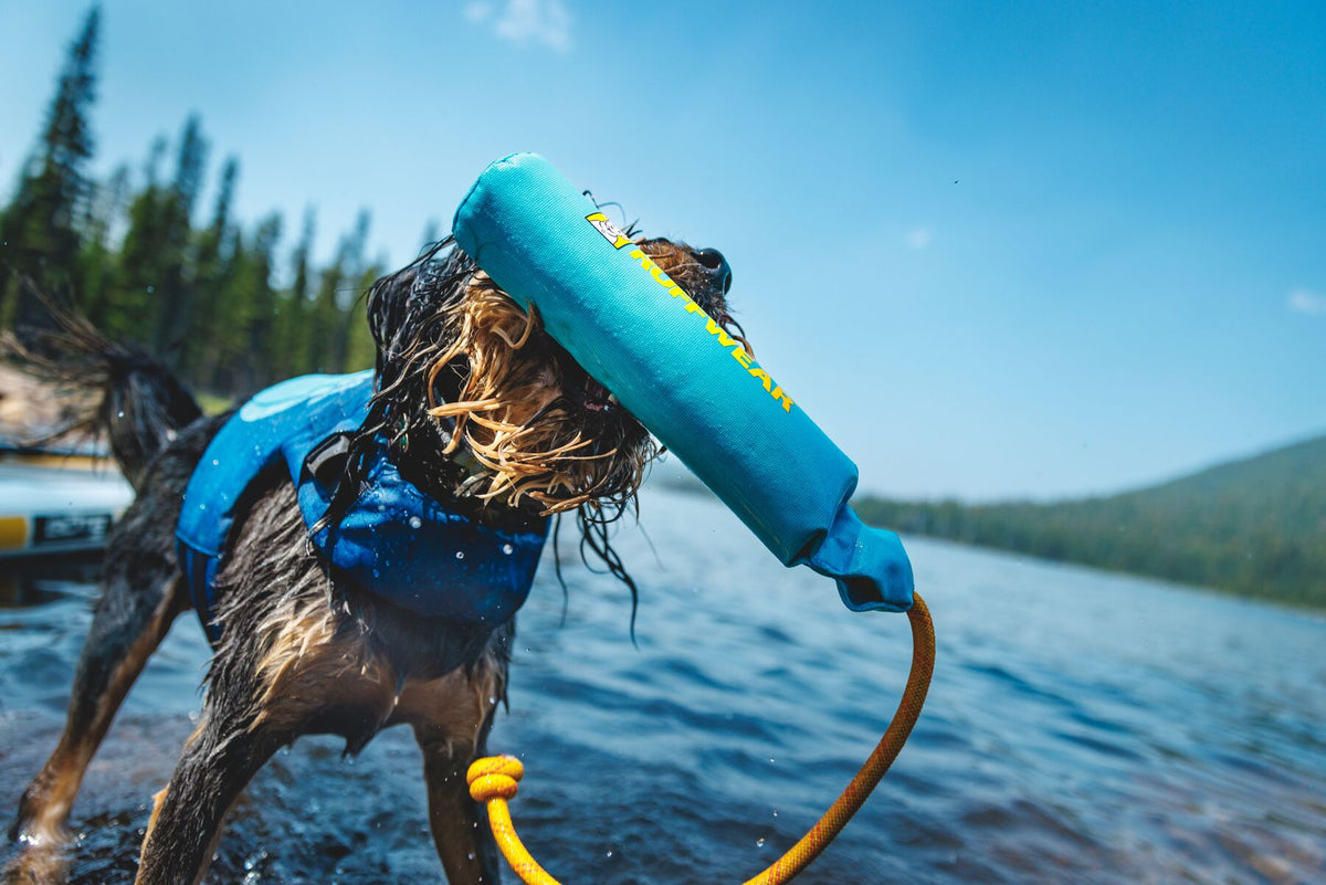 Wet shaggy dog emerging from a mountain lake carrying the Ruffwear Lunker toy in Biolumin Blue in its mouth, wearing a Ruffwear Float Coat in Deep Blue, with pine forest and calm water in the background