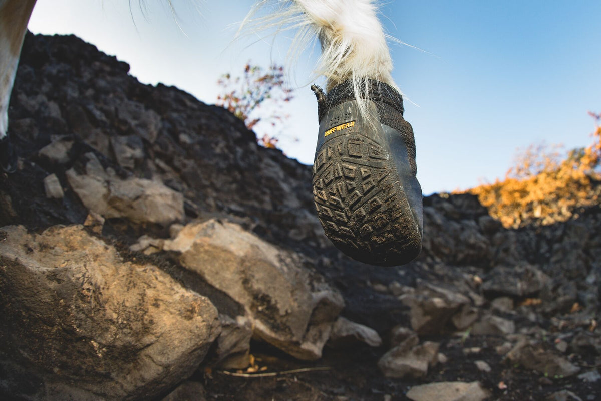 Low angle shot of the sole with dog on rocky terrain wearing Ruffwear Ridgeline Shoes 