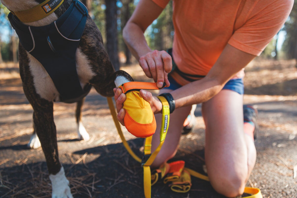 Person fitting a Ruffwear Summit Trex Shoe in Sunrise Yellow onto a dog's paw