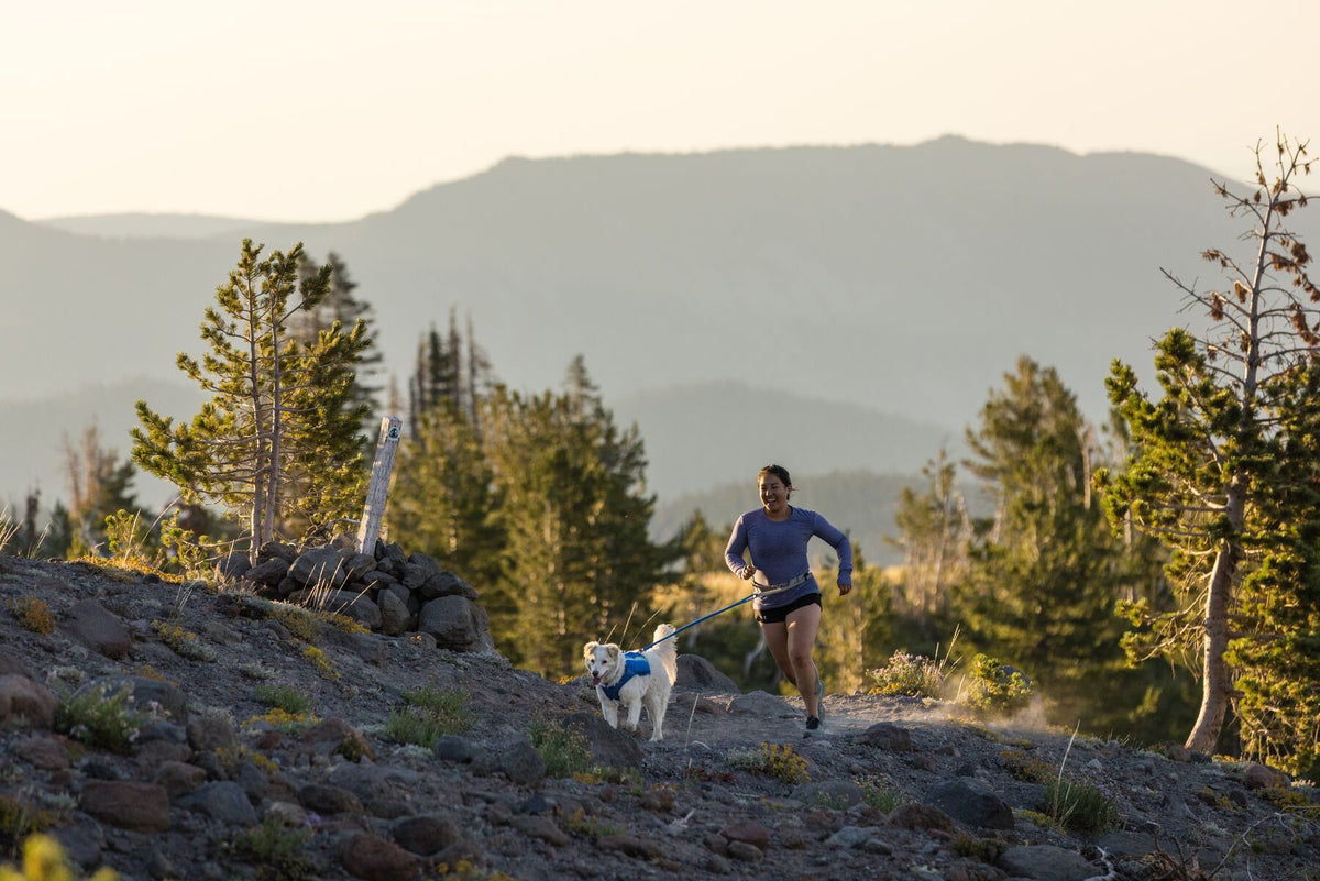 Person and dog running on mountain ridge at dusk using Ruffwear Trail Runner Lead hands-free