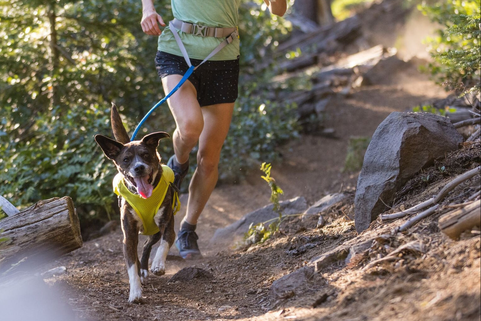 Dark brindle dog running along a sunlit woodland trail wearing the Ruffwear Trail Runner Running Vest in Lichen Green, handler running alongside on a blue lead, dappled light through the trees