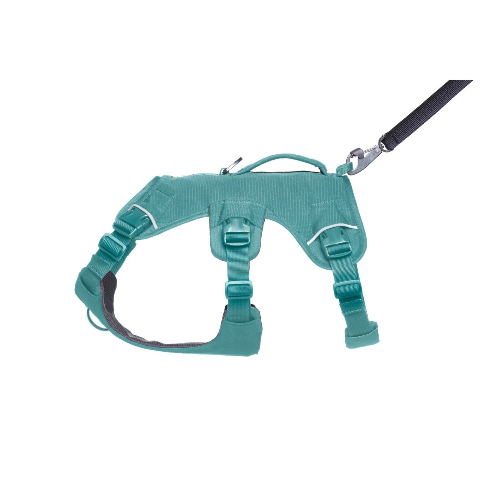 Ruffwear Web Master harness in River Rock Green with leash attached to aluminium V-ring, side view showing belly strap and padded handle