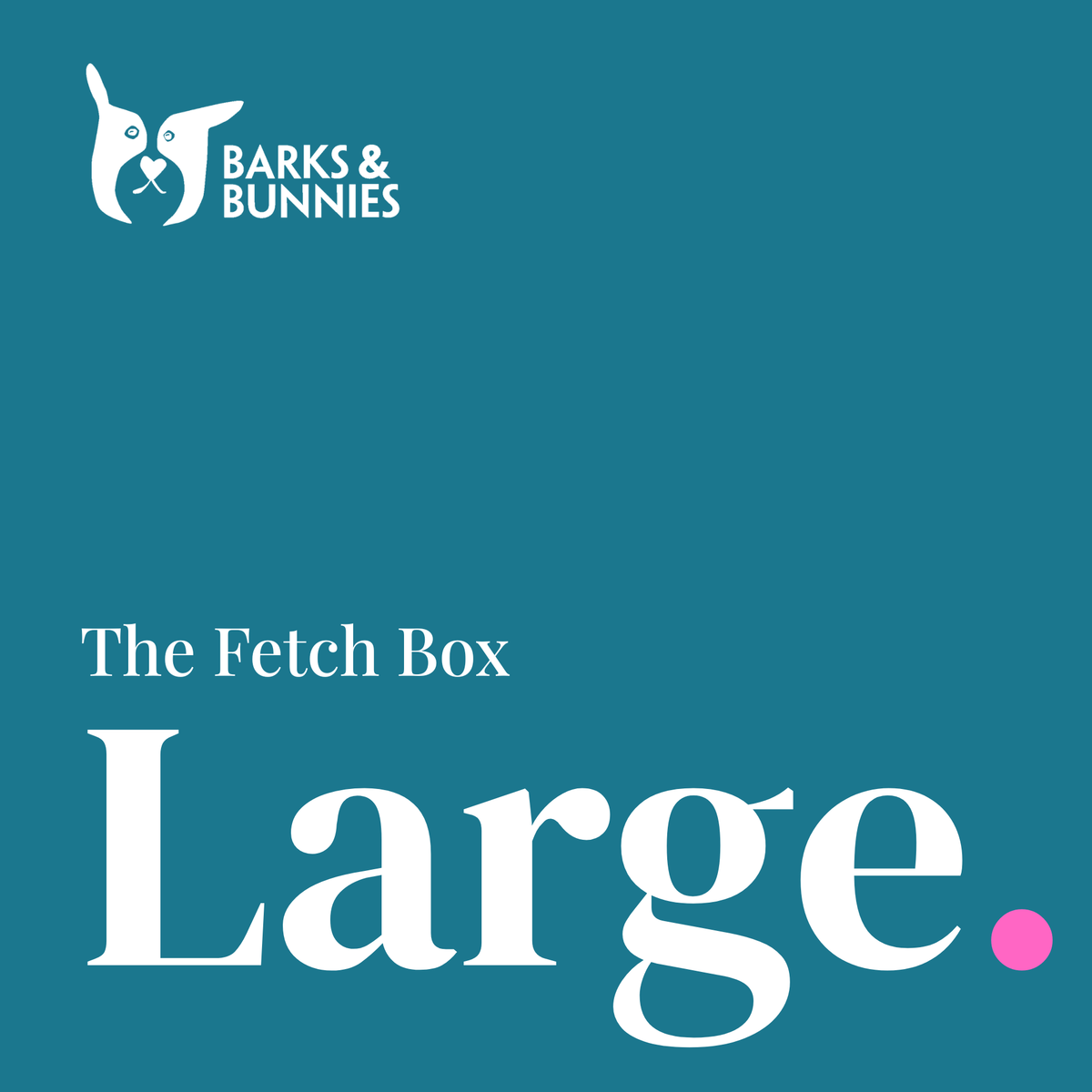 The Fetch Box - Large. A dog subscription box from Barks &amp; Bunnies. Teal background with white Barks &amp; Bunnies logo top left and white text reading The Fetch Box, Large, with a small pink dot.