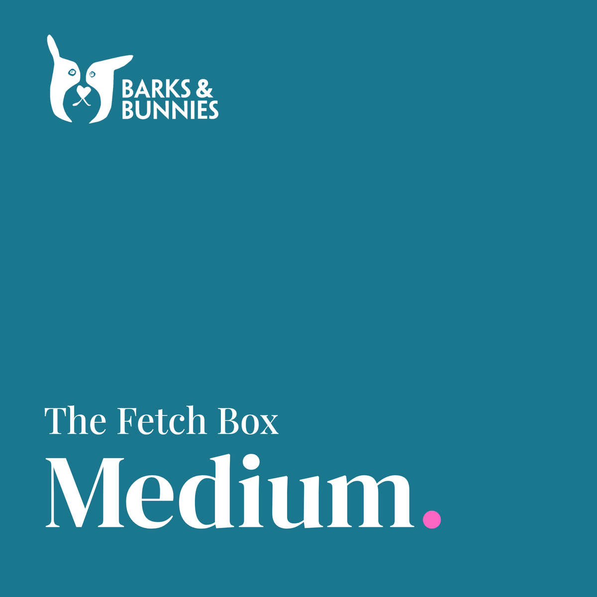 The Fetch Box - Medium. A dog subscription box from Barks &amp; Bunnies. Teal background with white Barks &amp; Bunnies logo top left and white text reading The Fetch Box, Medium, with a small pink dot.