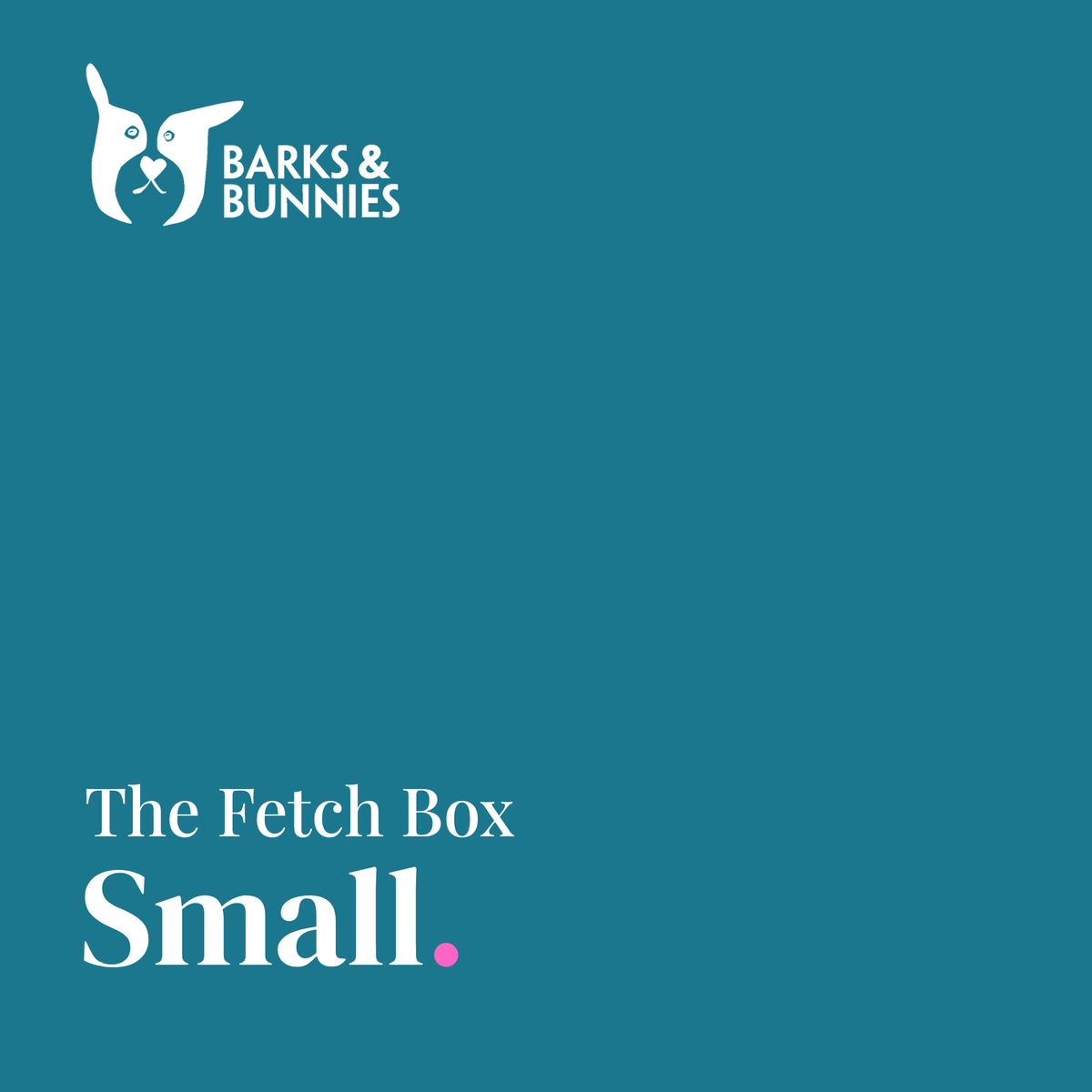 The Fetch Box - Small. A dog subscription box from Barks &amp; Bunnies. Teal background with white Barks &amp; Bunnies logo top left and white text reading The Fetch Box, Small, with a small pink dot."