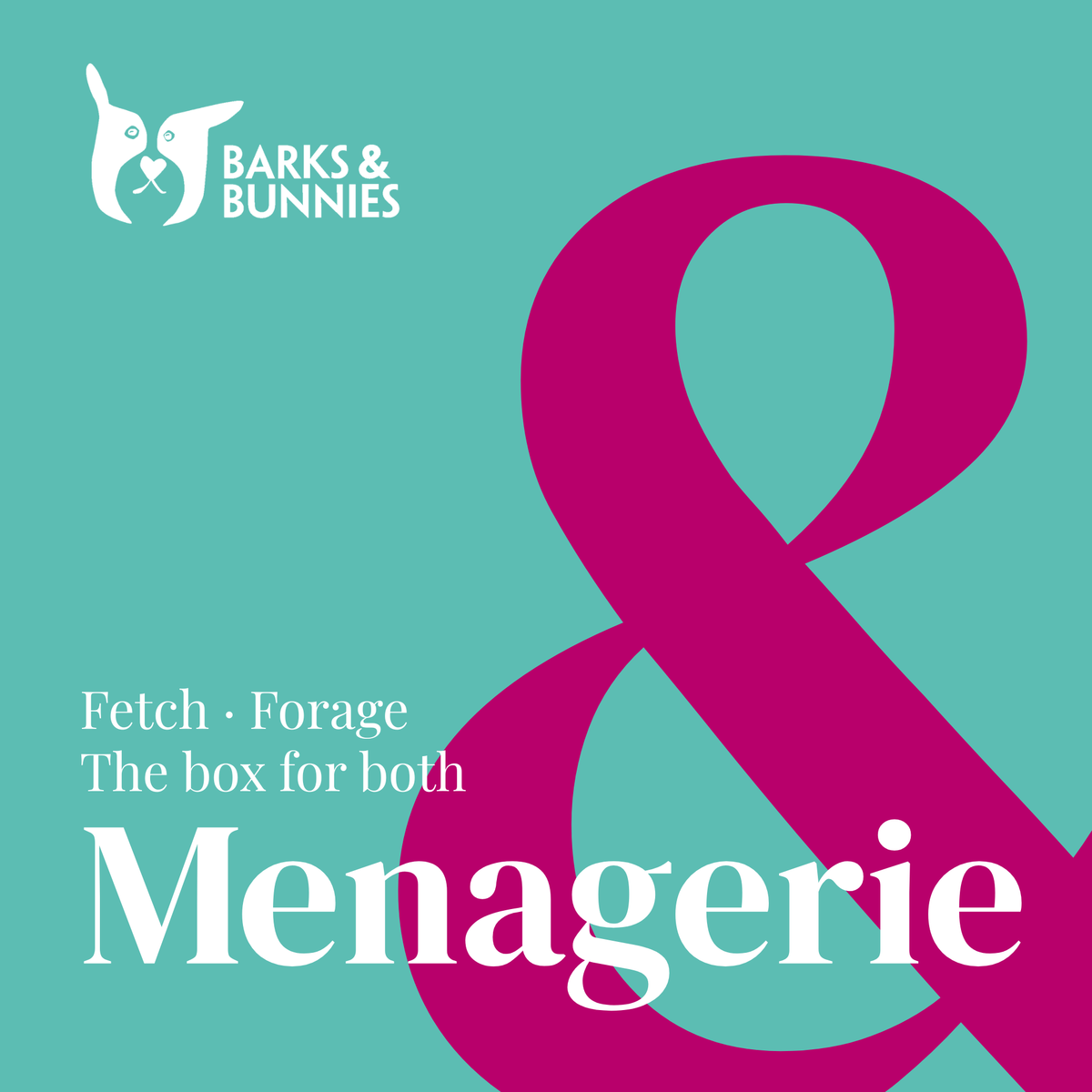 The Fetch &amp; Forage Box - Menagerie. A subscription box for dogs and rabbits. Teal background with a large pink ampersand and white text reading Fetch · Forage, The box for both, Menagerie