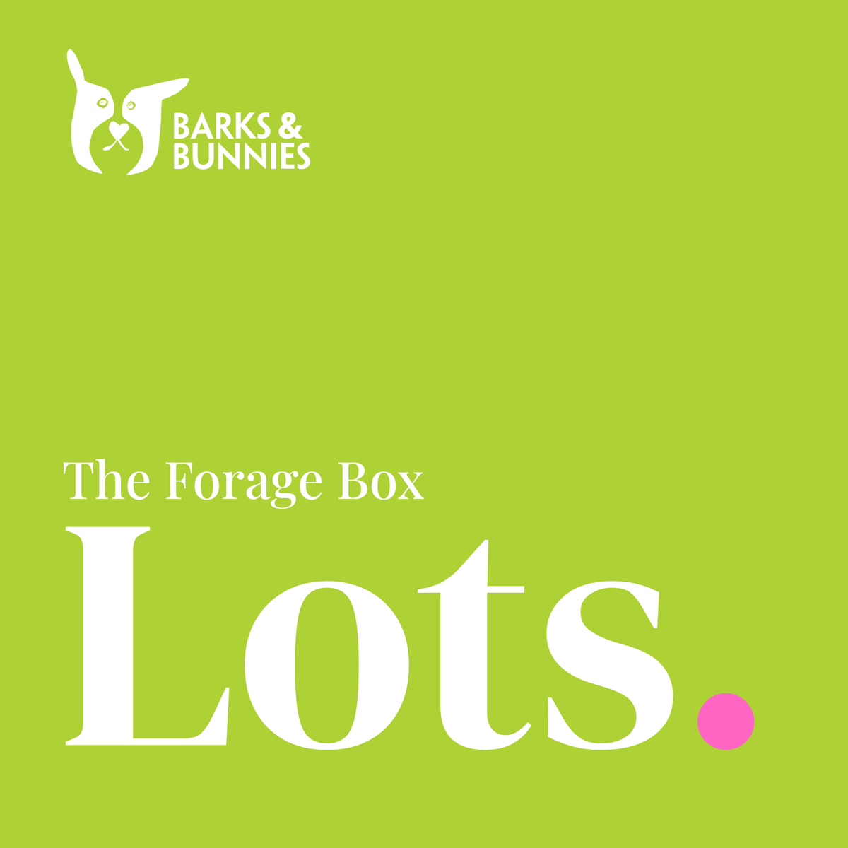 The Forage Box - Lots. A rabbit subscription box from Barks &amp; Bunnies. Vivid lime green background with white Barks &amp; Bunnies logo top left and white text reading The Forage Box, Lots, with a large pink dot.