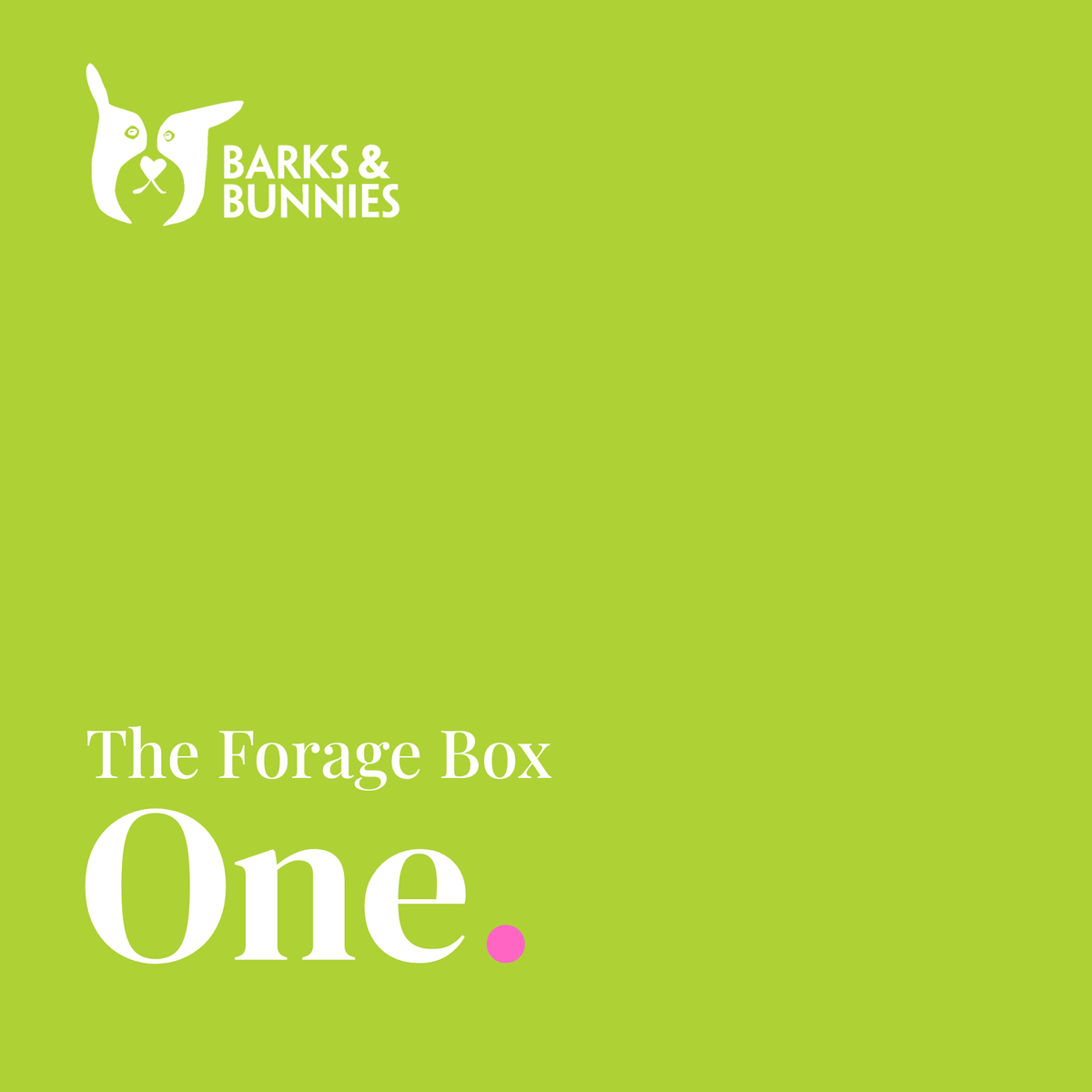 The Forage Box - One. A rabbit subscription box from Barks &amp; Bunnies. Vivid lime green background with white Barks &amp; Bunnies logo top left and white text reading The Forage Box, One, with a small pink dot.